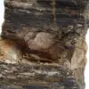 Esemplare mineralogico - Tormalina nera grezza del Madagascar - 5