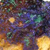 Esemplare di malachite e azzurrite, Marocco - 5