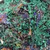 Cristalli di malachite azzurrite Marocco - 5