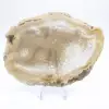 Fetta di geode di agata brasiliana - 1