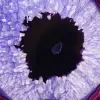 Agata brasiliana: fetta di minerale tinta di viola - 2