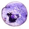 Fetta di agata brasiliana massiccia, sfumature di viola - 1