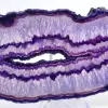 Decorazione minerale: fetta di agata viola brasiliana - 2