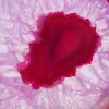 Fetta decorativa di agata rosa - 2