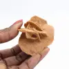 Mini Rosa del Deserto Marocchina: esemplare di gesso naturale - 1