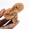 Piccola Rosa del Deserto del Marocco: la radiosità del gesso naturale - 1