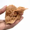 Rosa del deserto del Marocco: consistente cristallo di gesso - 1
