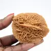 Esemplare di rosa del deserto marocchina: cristallizzazione densa - 1