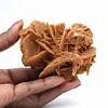 Rosa del deserto del Sahara algerino - 1