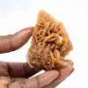 Frammento di gesso cristallizzato proveniente dall'Algeria - 1