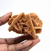 Una curiosità geologica dell'Algeria meridionale - 1