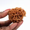 Rosetta di sabbia e gesso naturale - 1