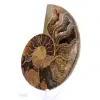Ammonite di Mahajanga: Armonia Minerale - 3
