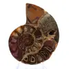 Ammonite di Mahajanga: dualità e tradizione - 1