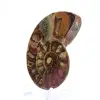 Ammonite fossilizzata: esemplare minerale proveniente dal Madagascar - 3