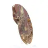 Ammonite del Madagascar: finezza minerale - 3