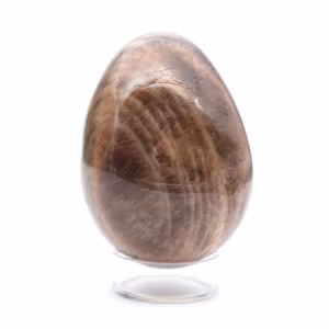 Uovo di Microclino Nero del Madagascar 235 g