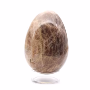 Uovo di pietra di luna nera 205 g