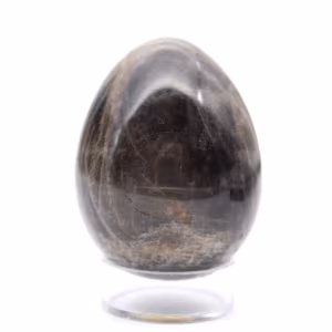 Uovo di pietra di luna nera 145 g