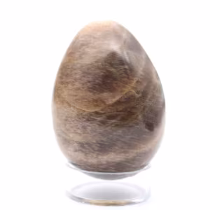 Uovo di pietra di luna nera 135 g