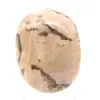 Ciottolo di feldspato del Madagascar – Campione minerale - 1