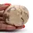 Ciottolo di feldspato del Madagascar – Campione minerale