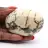 Ciottolo di feldspato del Madagascar – Campione geologico