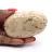 Ciottolo di feldspato del Madagascar – Campione di mineralogia
