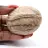 Ciottolo di feldspato del Madagascar – Pietra da collezione