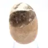 Ciottolo di feldspato del Madagascar – Esemplare naturale - 2