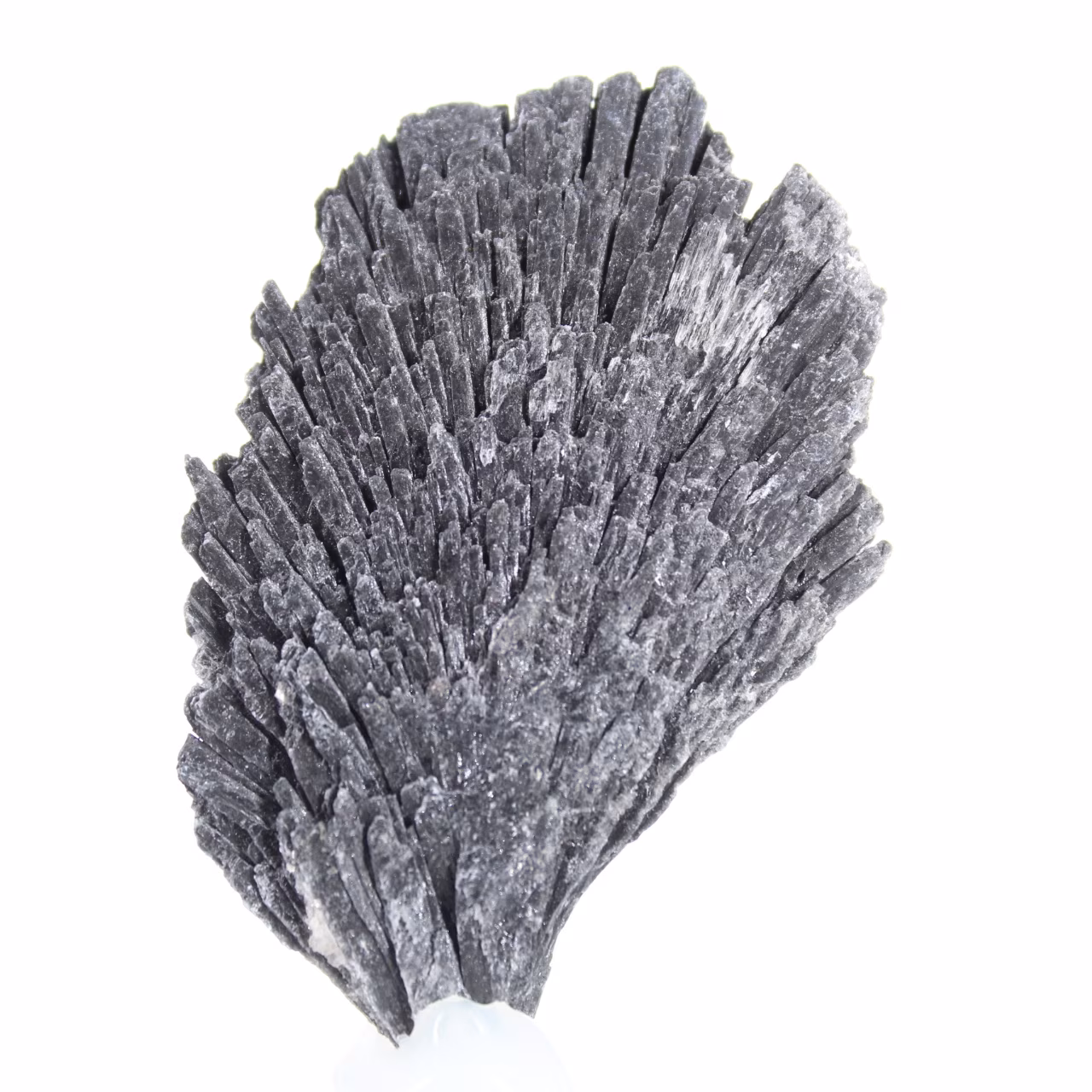 Cyanite noire du Brésil, silicate d'aluminium sur socle 25 g