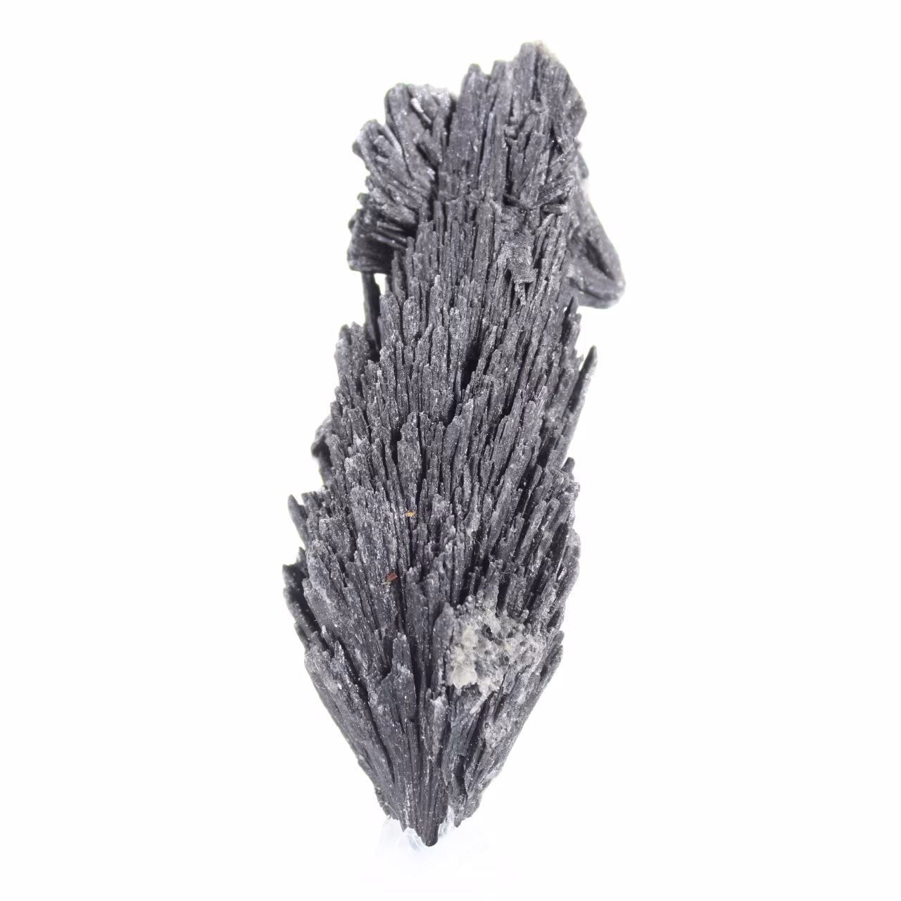 Cyanite noire brute du Brésil, silicate cristallisé sur socle 30 g