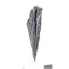 Cyanite noire du Brésil, cristal cristallisé sur socle 30 g - 3
