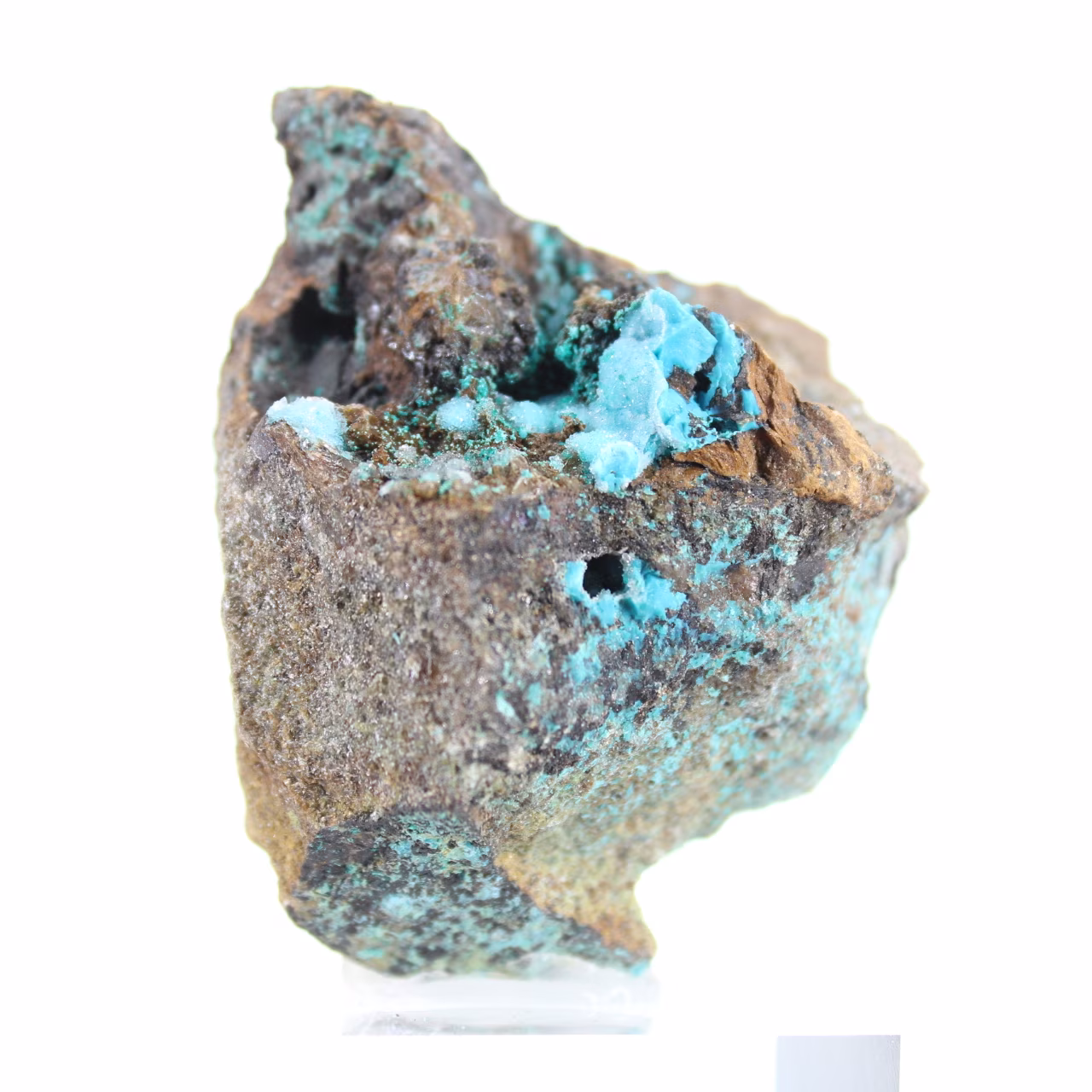 Brochantite naturale dal Cile sulla ganga - Minerale grezzo