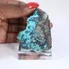 Brocantite cilena grezza, pezzo da collezione su base - 1
