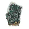 Brochantite grezza proveniente dal Cile - Campione scientifico su piedistallo - 0