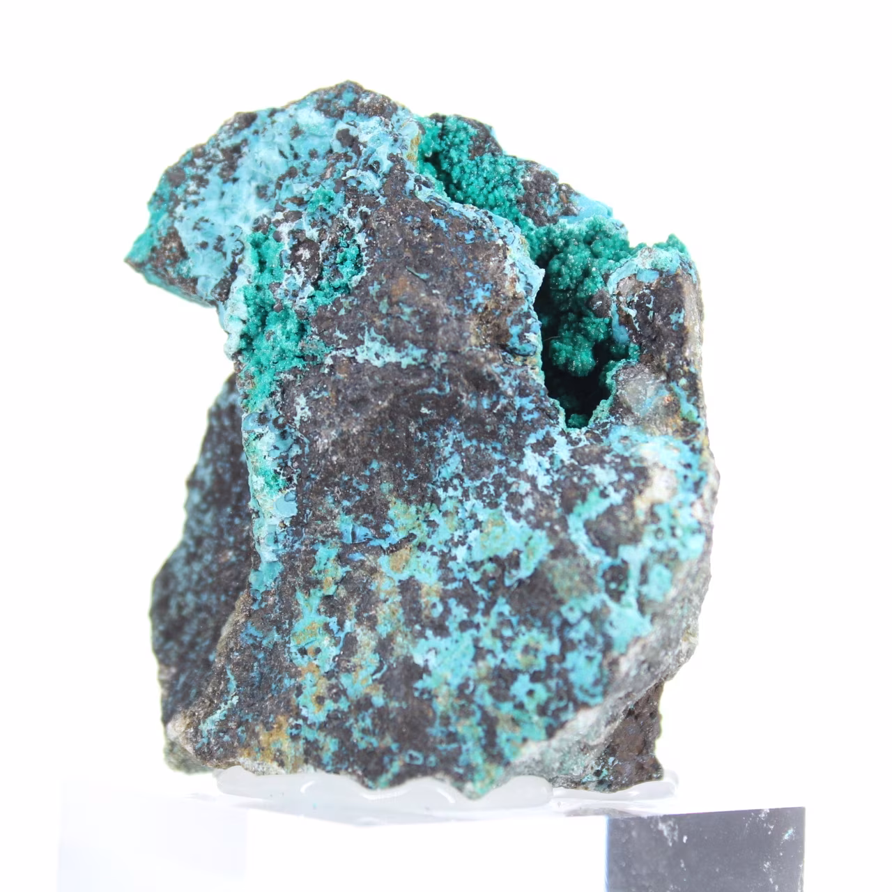 Cristalli grezzi di brochantite dal Cile - Pezzo da esposizione