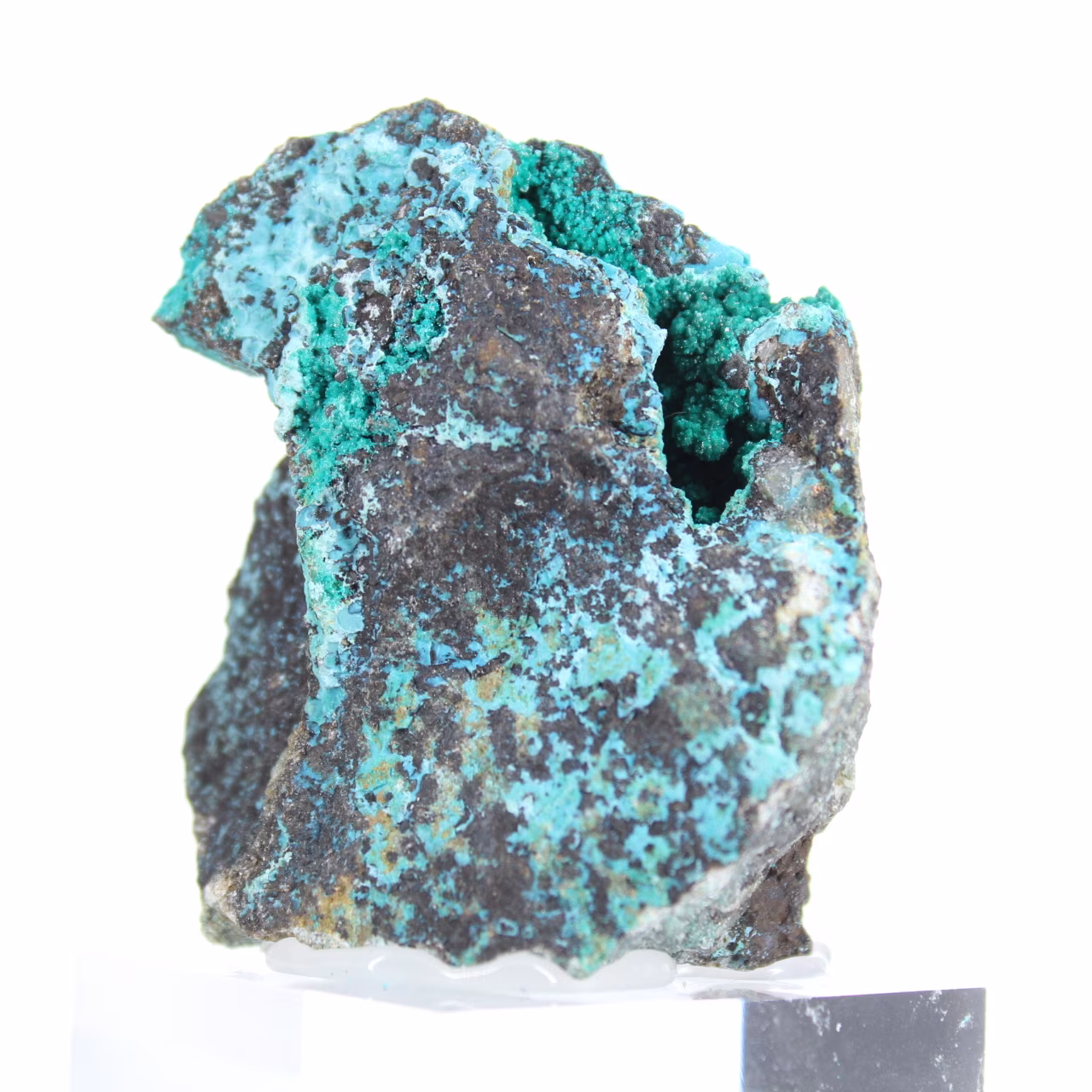 Cristalli grezzi di brochantite dal Cile - Pezzo da esposizione