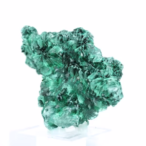 Malacite fibrosa del Congo su base acrilica, esemplare naturale
