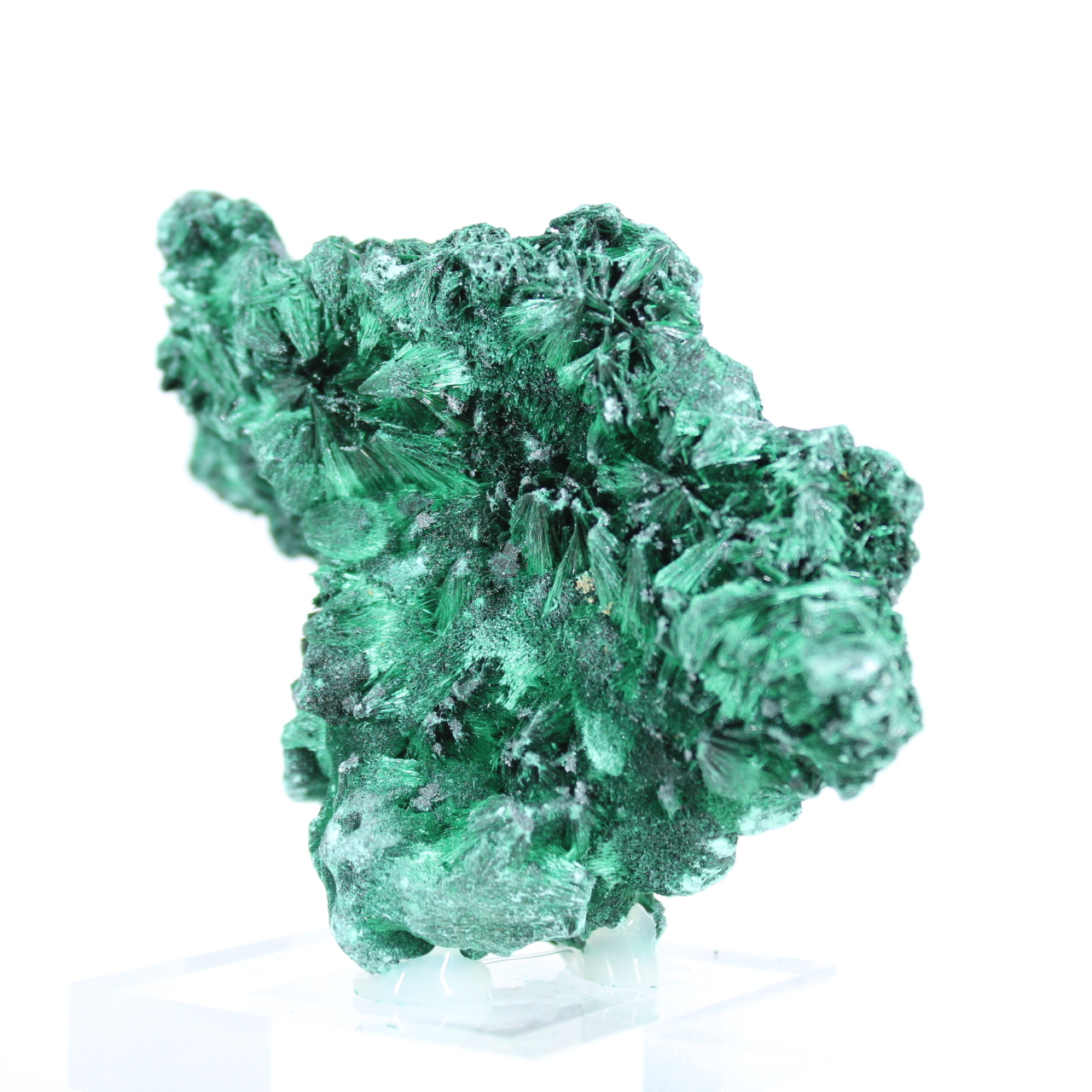 Malacite fibrosa del Congo su base acrilica, esemplare naturale