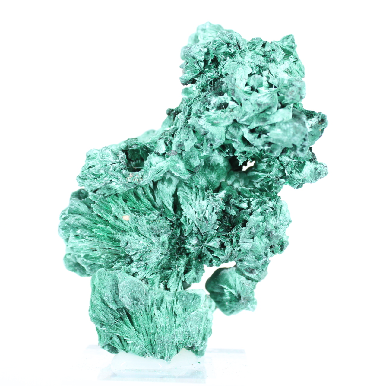 Grande aggregato di malacite aciculare dalla RDC su base acrilica