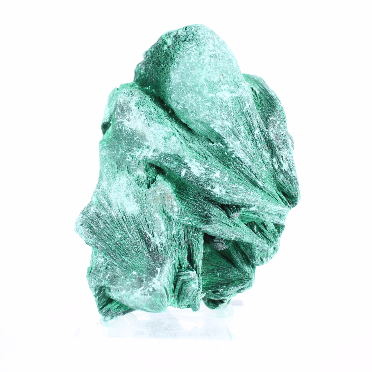 Malacite setosa del Congo-Kinshasa, minerale da collezione su base