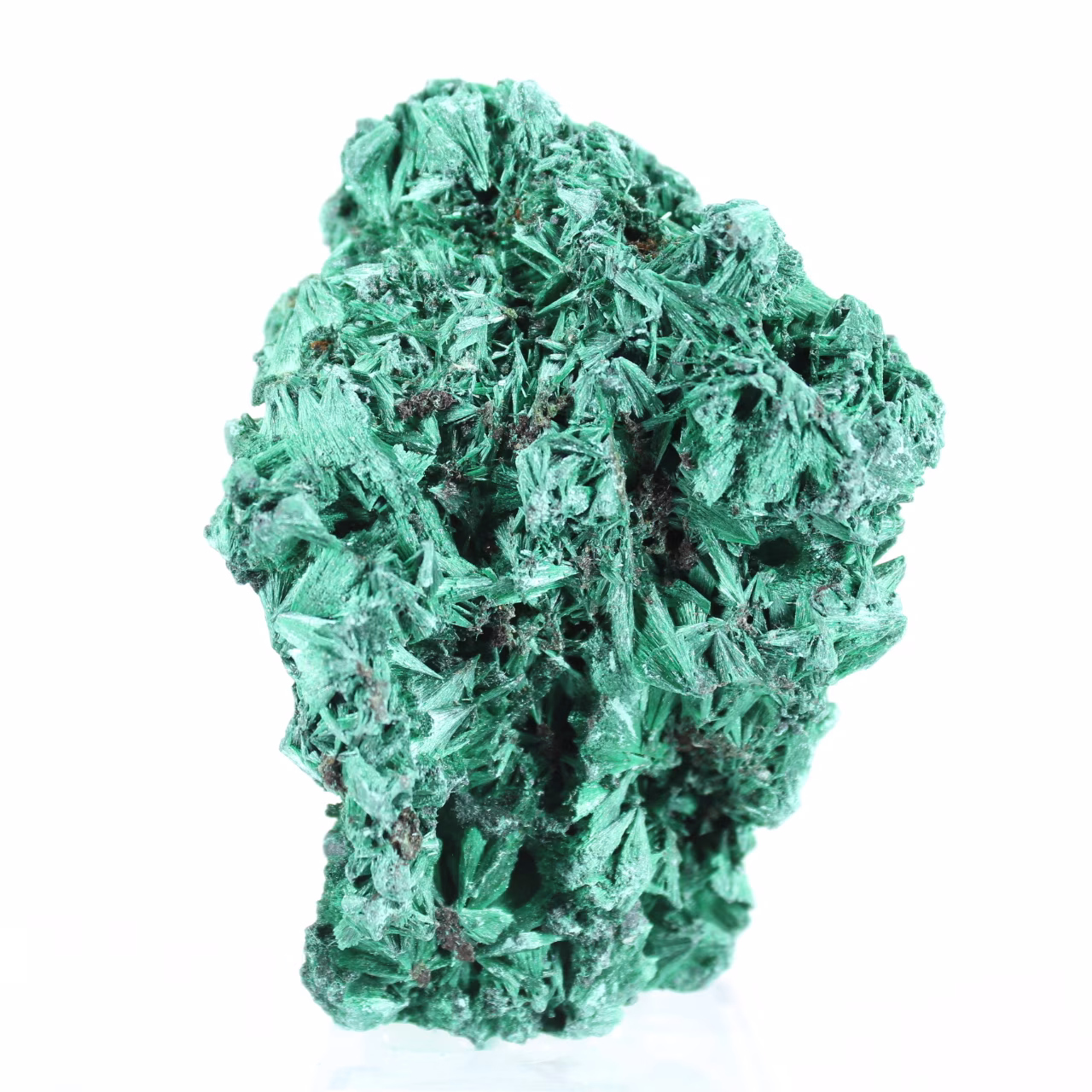 Piccolo esemplare di malacite fibrosa dalla RDC, base acrilica inclusa