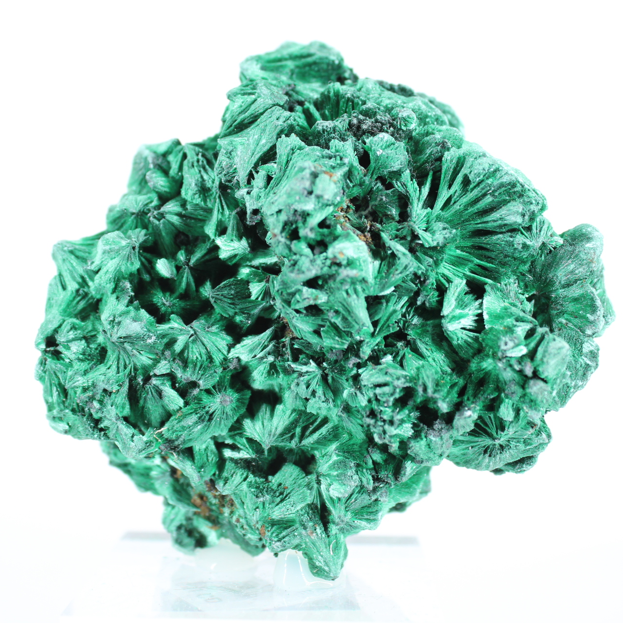 Malacite aciculare del Congo, pietra naturale decorativa su base
