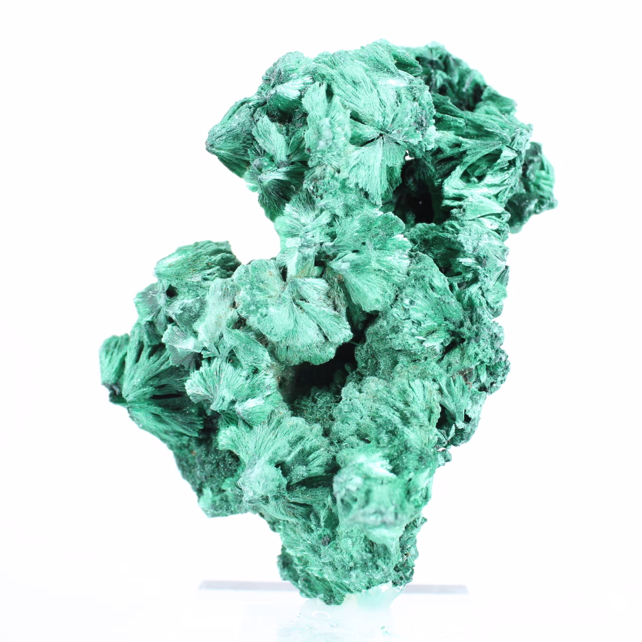 Malacite fibrosa slanciata dalla RDC, minerale autentico su base