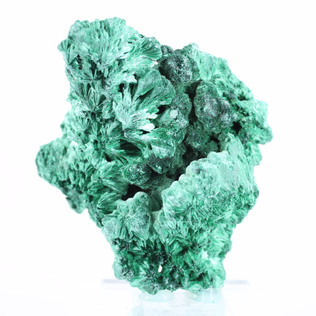 Malacite compatta dalla lucentezza setosa del Congo, montata su acrilico