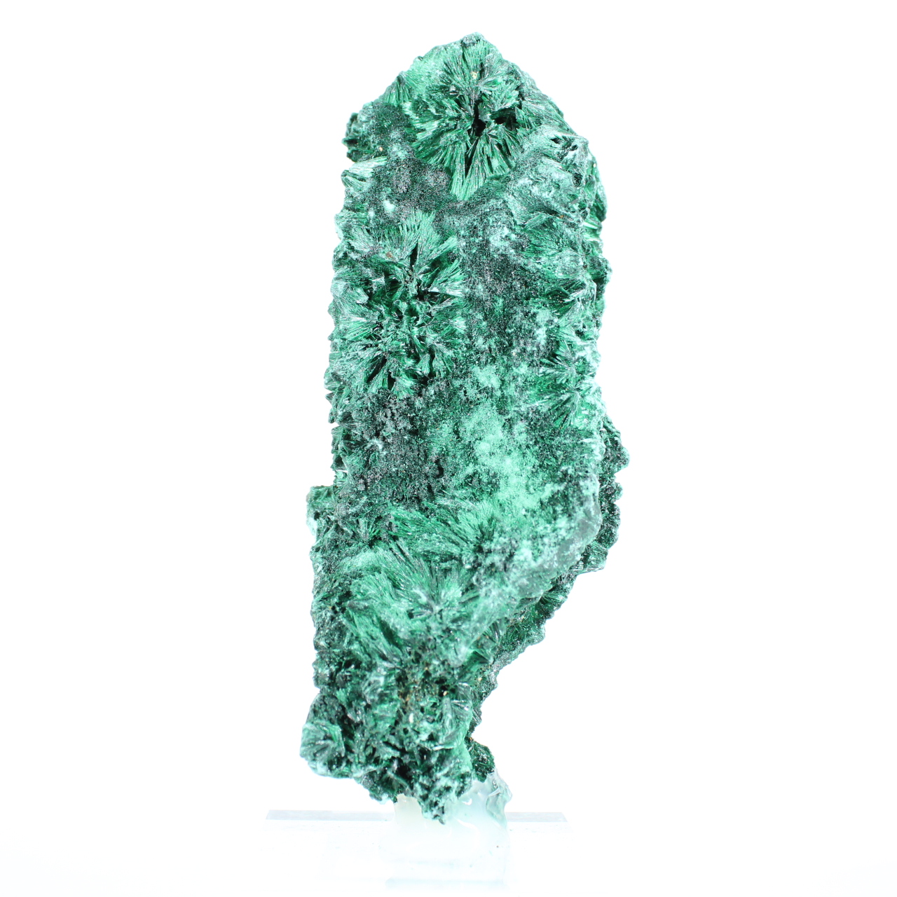 Colonna di malacite fibrosa del Congo, esemplare su base acrilica