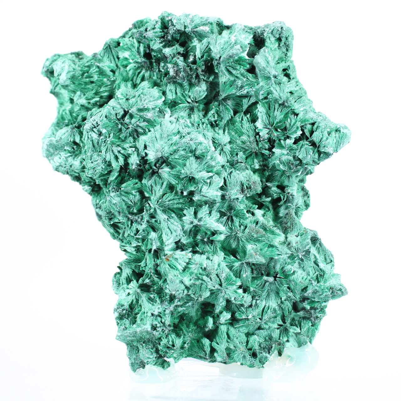 Malacite fibrosa dal profilo piatto dalla RDC, minerale decorativo su base