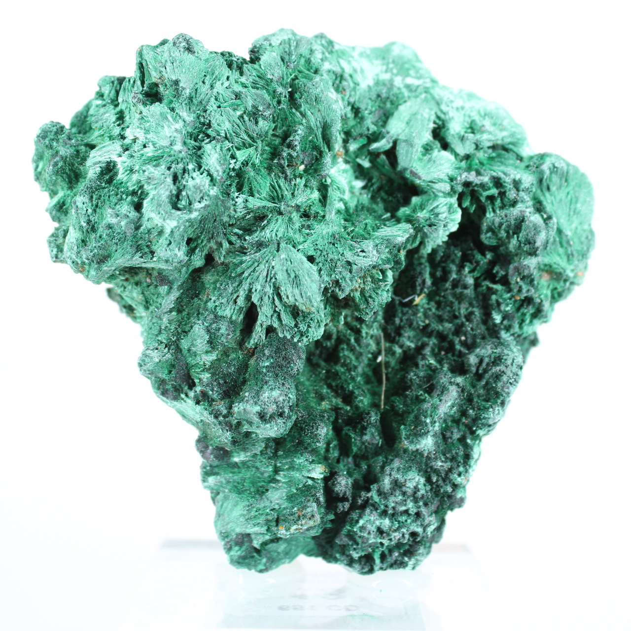 Malacite verde naturale del Congo in aggregato fibroso, su base