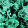 Campione di malacite fibrosa congolese su base trasparente - 5